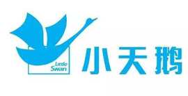 小天鹅
